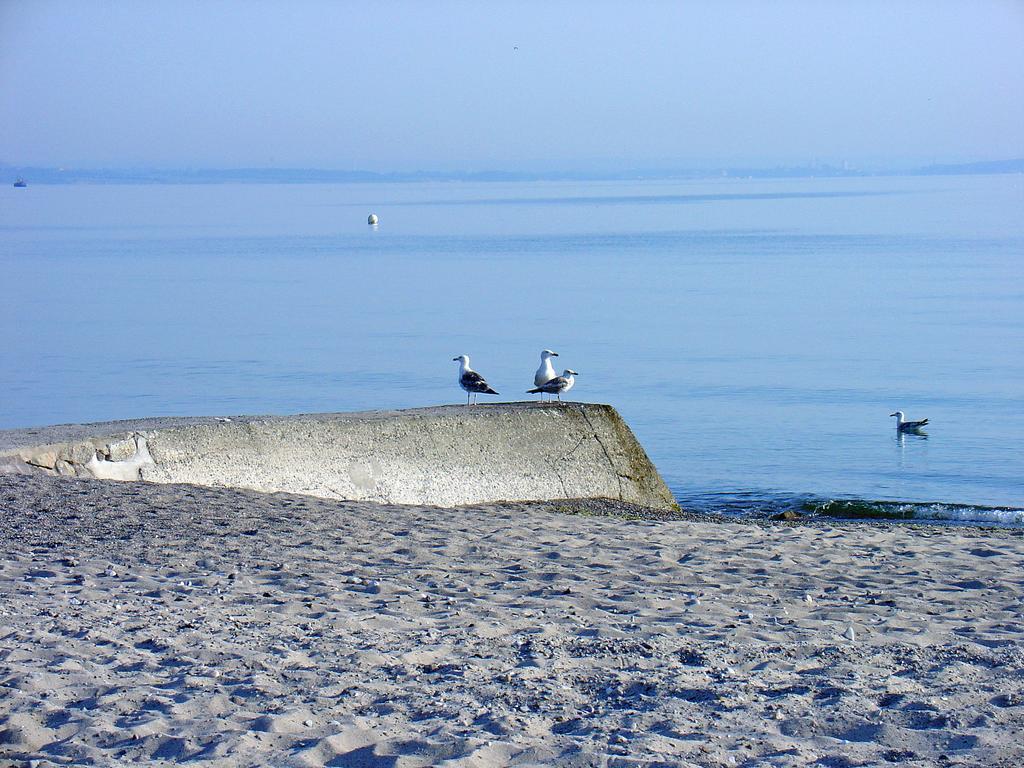 Machedanz Am Hafen Timmendorfer Ot Niendorf Appartement *